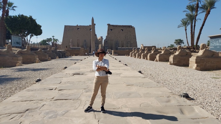 The Avenue of Sphinxes starting from the Luxor Temple