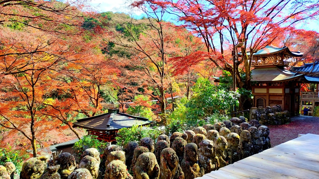 Maple trees and autumn foliage surround Otagi Nenbutsuji making the place one of the best autumn viewing spot in Kyoto 
Photo Credit: Ameena Navab