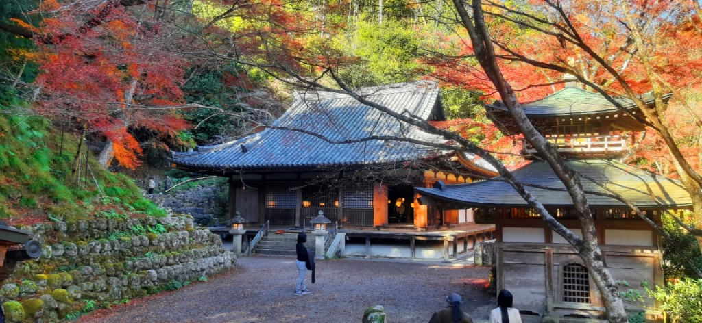 The main 8th century hall at Otagi Nenbutsuji along with the Fureai Kannon shine (right) that contains
 the sculpture made by Kocho Nishimura Photo Credit: AWO staff